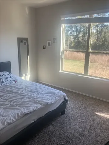 10669 N Lake Road Montgomery TX 77316