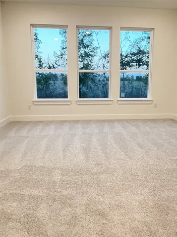 12911 Green Valley Rosharon TX 77583