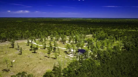 5938 Fm 3152 Livingston TX 77351
