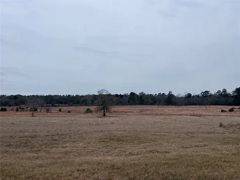 Tbd Lakeland Hillister TX 77624