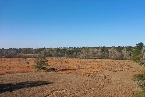 Tbd Lakeland Hillister TX 77624