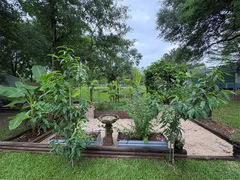 251 Mudd Street Coldspring TX 77331