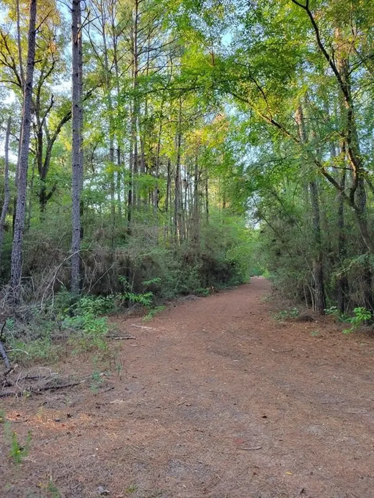 Tbd Honeylocust Lane Plantersville TX 77363