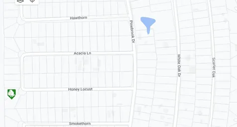 Tbd Honeylocust Lane Plantersville TX 77363