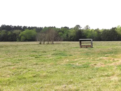 968 Cr 3490 Lovelady TX 75851