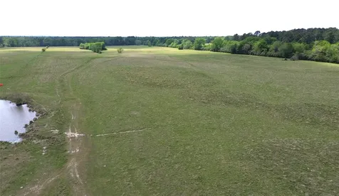 968 Cr 3490 Lovelady TX 75851