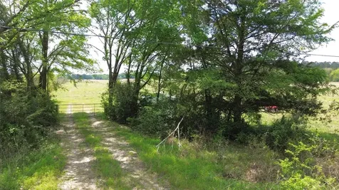 968 Cr 3490 Lovelady TX 75851