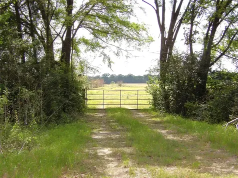 968 Cr 3490 Lovelady TX 75851