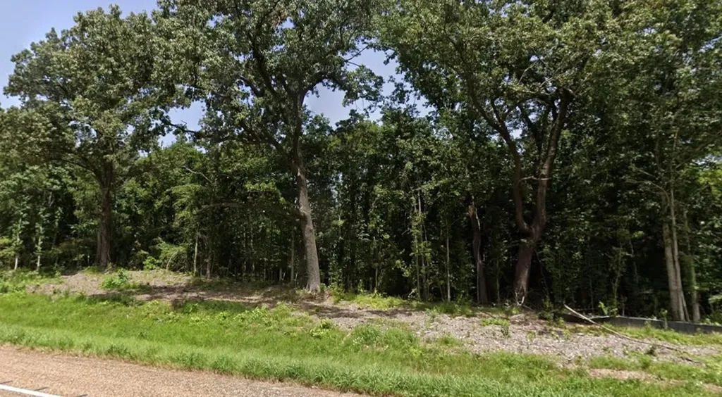 0 Highway 155 Lone Star TX 75668