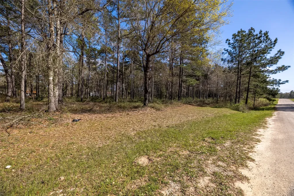TBD2 Humbird Drive Cleveland TX 77328