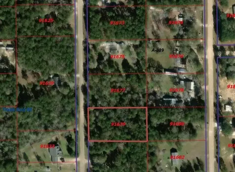 TBD2 Humbird Drive Cleveland TX 77328