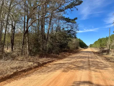 950 Tram Road Livingston TX 77351