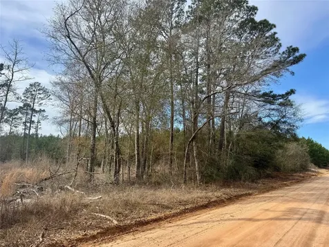 950 Tram Road Livingston TX 77351