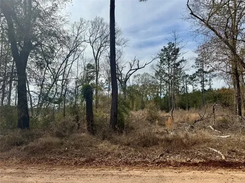 950 Tram Road Livingston TX 77351