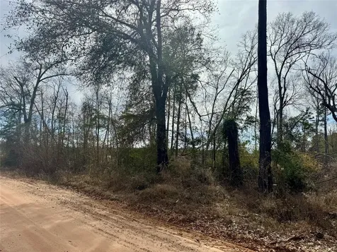 950 Tram Road Livingston TX 77351