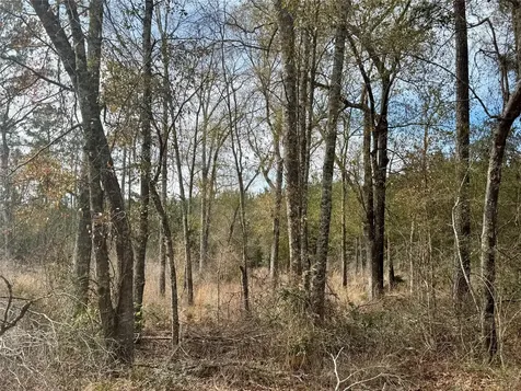 950 Tram Road Livingston TX 77351
