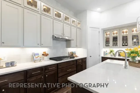 17911 Oakwood Stream Drive Webster TX 77598