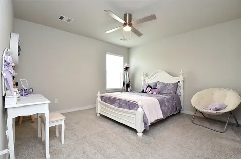 308 Spruce Oak Lane Waller TX 77484