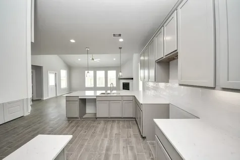 24522 Bradbury Woods Drive Spring TX 77373