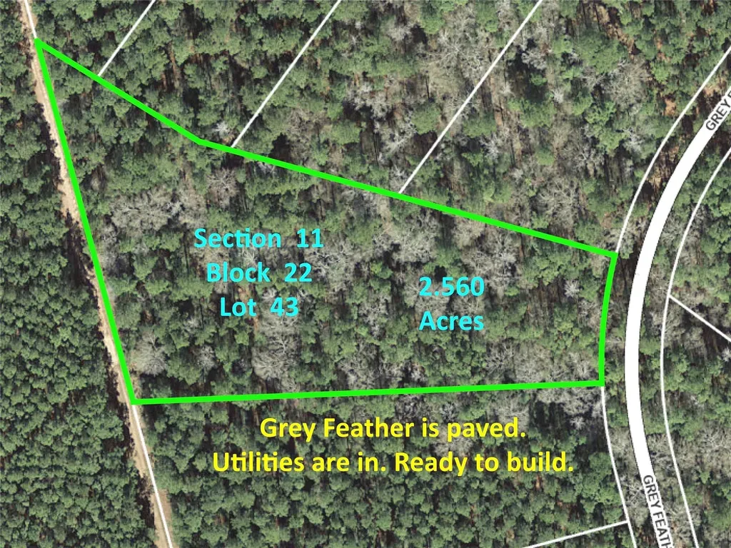 215 Grey Feather Road Huntsville TX 77340