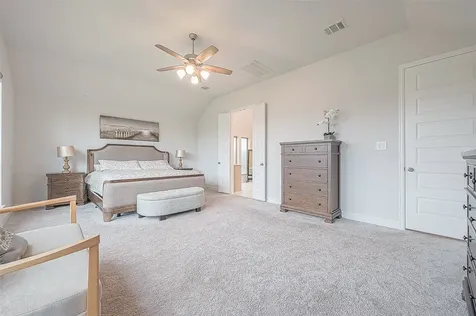 29042 Hauter Way Fulshear TX 77441