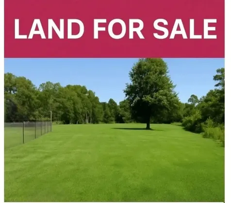 113 County Road 5019 Cleveland TX 77327