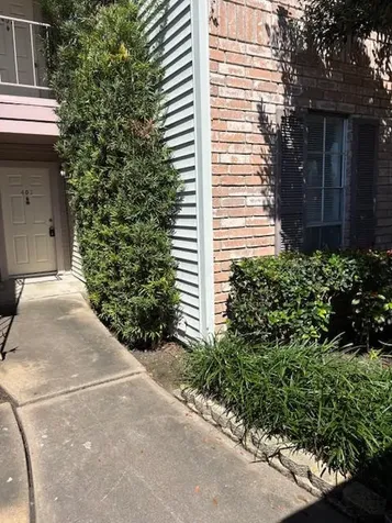 3100 Jeanetta Street 401 Houston TX 77063