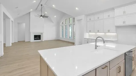 238 Catahoula Court Montgomery TX 77316