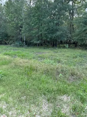 Tbd Walker Drive Cleveland TX 77327