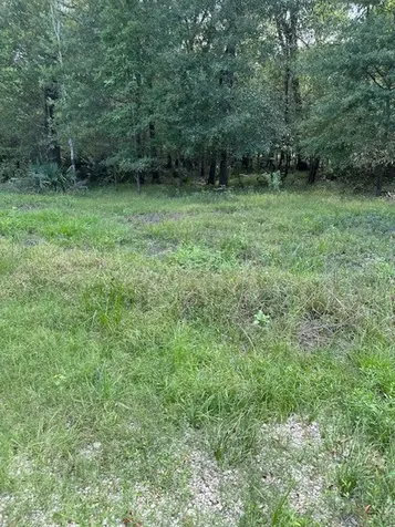 Tbd Walker Drive Cleveland TX 77327