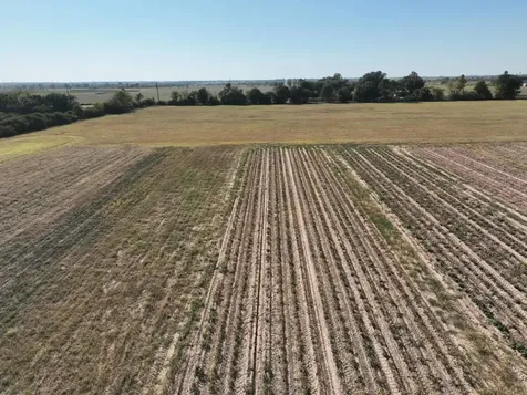14126 Penick Road Waller TX 77484