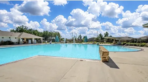 20509 Vaughn Forest Court New Caney TX 77357