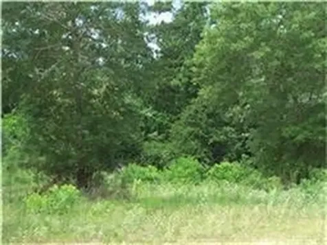 37121 Fm 1774 Road Magnolia TX 77355