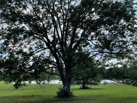 15806 Republic Ranch Road N Willis TX 77378