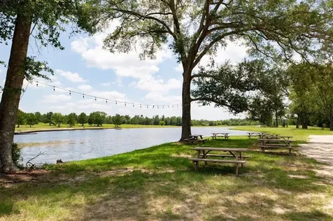 15806 Republic Ranch Road N Willis TX 77378