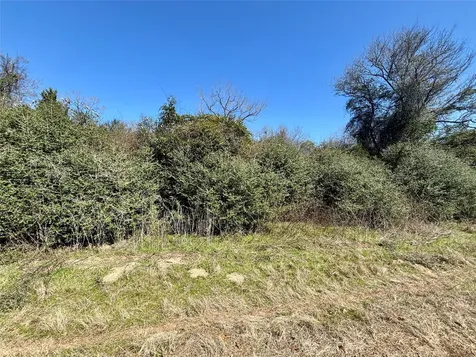Tbd Sycamore Branch Road Normangee TX 77871