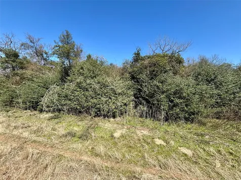 Tbd Sycamore Branch Road Normangee TX 77871