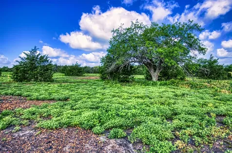 Lot 2 Wonder Hill Road Chappell Hill TX 77426