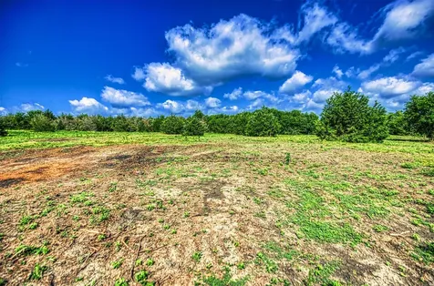 Lot 2 Wonder Hill Road Chappell Hill TX 77426