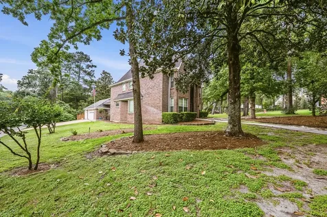 30 Royal Dalton Circle Conroe TX 77304