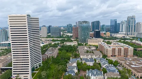 5 Briar Dale Court Houston TX 77027
