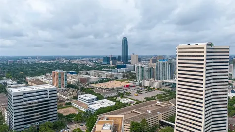 5 Briar Dale Court Houston TX 77027