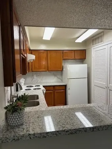 10555 Turtlewood Court 2111 Houston TX 77072
