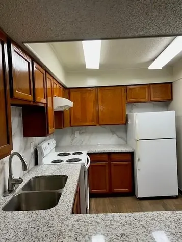 10555 Turtlewood Court 2111 Houston TX 77072