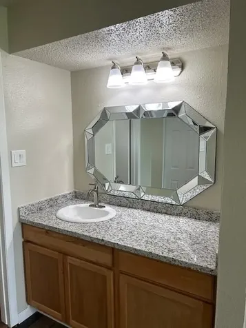 10555 Turtlewood Court 2111 Houston TX 77072