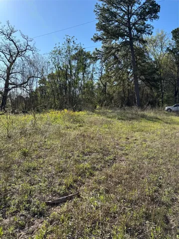 373 Johnson Road Huntsville TX 77320