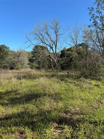 373 Johnson Road Huntsville TX 77320