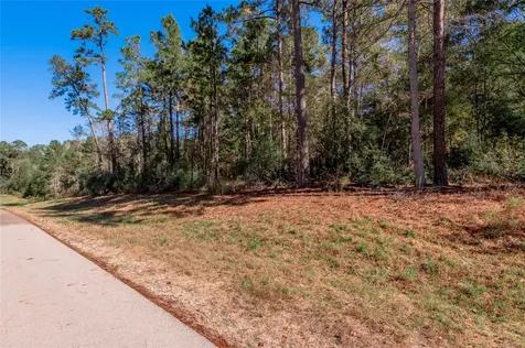 Tbd Grassland Court Huntsville TX 77340