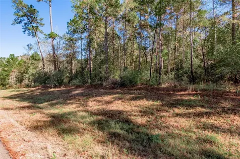 Tbd Grassland Court Huntsville TX 77340