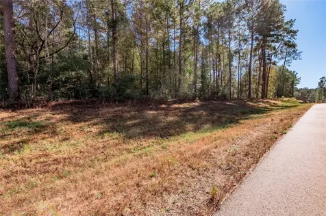 Tbd Grassland Court Huntsville TX 77340